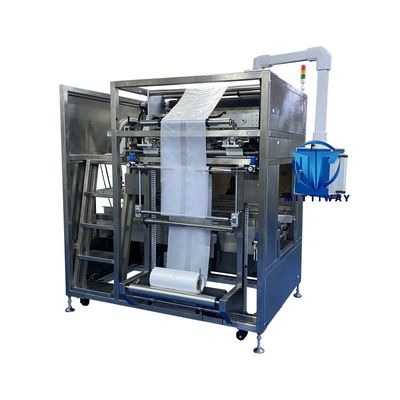 PLC Control Automatic Bag Inserter Stainless Steel Filling And Packing Machine