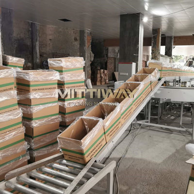 Electric Carton Erector Supplier Plastic Case Erector And Bag Inserter