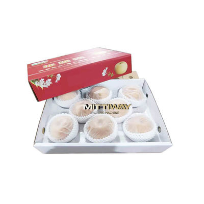 220V Glue Tray Former High Speed Automatic Box Folder Fruit Box Exector