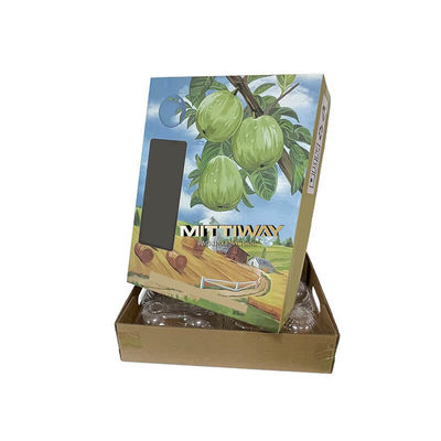Fruit Tray Corrugated Box Folding Machine Hot Melt Gluing Forming
