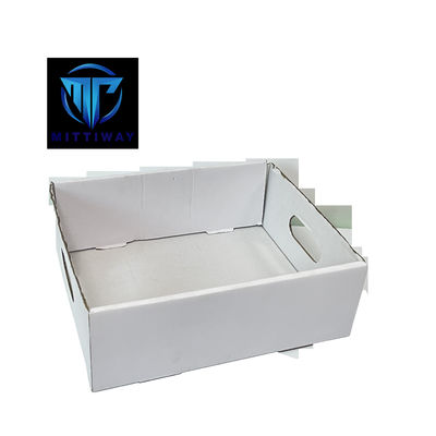 Corrugated Carton Tray Forming Equipment Hot Melt Glue Tray Former