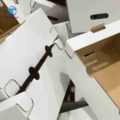 Corrugated Folding Carton Machine 2KW Hotmelt Tray Former For Case