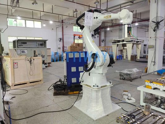 PLC Control Robotic Box Palletizer Machine With Multi Joint Robot Arm Number