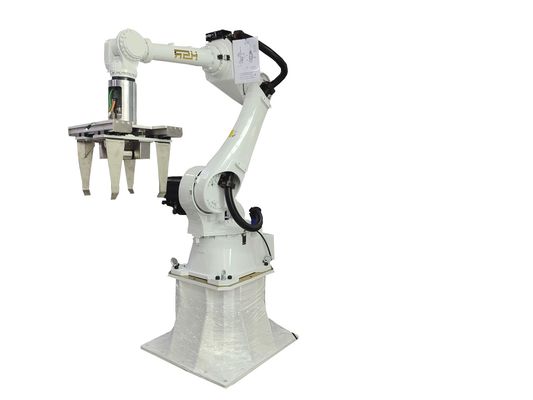 Flexible  Robot Case Packer Automated For Organizer Travel Case