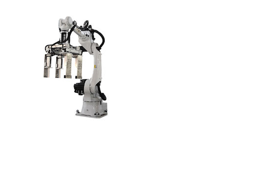 Industrial Robot Case Packer Safety For Industrial Applications