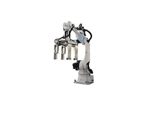 Safety Robotic Case Packer Case Packer Machine Operations