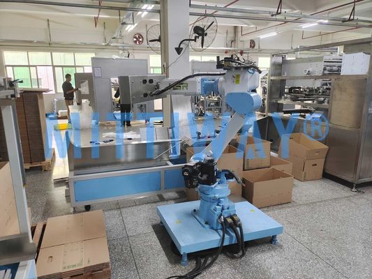 Medium Robot Case Packer Robotic Arm Performance
