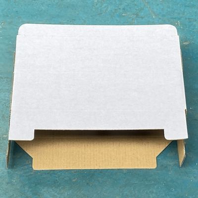 Customized Automatic Tray Former Self Locking Bottom Folding Machine