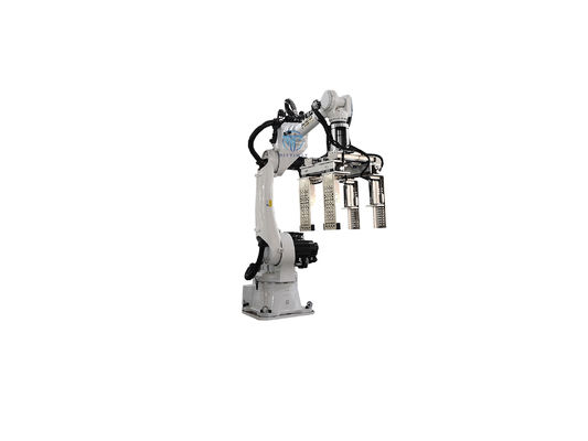 Safety Robotic Case Packer Case Packer Machine Operations